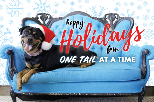 Holiday Donation Card_Bella Nutella-Front