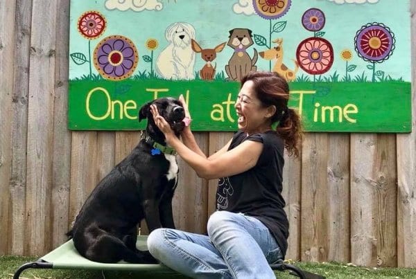 one tail at a time volunteer chicago dog shelter