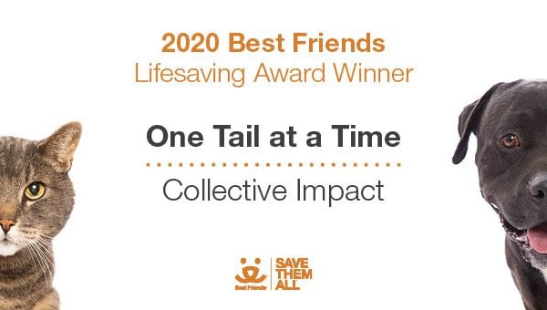 one tail at a time best friend animal society award